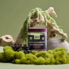 Gaia Herbs Black Elderberry Adult Daily Gummies