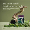 Extra Strength gummies bottle on stone among foliage, finest herbal supplements graphic