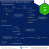 Building connections catecholamine and serotonin pathways mood graphic
