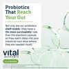 Probiotics that reach your gut graphic, shelf-stable with 15x more survivability