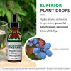 NutraMedix Barberry Microbial Defense - 30 Milliliters