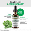 Dandelion detox support graphic tested for heavy metals with benefits