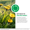 Dandelion field, get back to feeling dandy microbial mood graphic