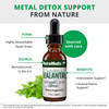 Metal detox support from nature Sealantro graphic with cilantro