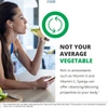 Woman drinking water, not your average vegetable Sparga antioxidant graphic