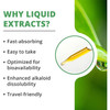 Why liquid extracts graphic with fast-absorbing and travel-friendly benefits