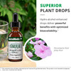 Superior plant drops graphic with hydro-alcohol bioavailability callout