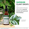 Superior plant drops graphic with hydro-alcohol bioavailability callout