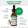 NutraMedix Teasel - 30 Milliliters