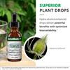 NutraMedix Teasel - 30 Milliliters
