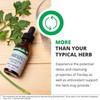 Parsley bottle on a wooden surface with herbs, more than your typical herb graphic