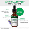 NutraMedix EZOV Emotional Balance - 30 Milliliters