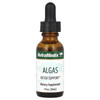 NutraMedix Algas detox support 30 mL dropper bottle
