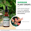 NutraMedix Tangarana Microbial Defense - 30 Milliliters