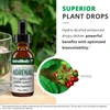 Superior plant drops graphic with hydro-alcohol bioavailability callout