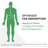 Optimized for absorption Magnesium Malate bioavailability silhouette graphic