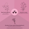 Bael leaf, psyllium husk and garden cress seed ingredient illustrations