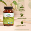 Organic India Amla - 90 Capsules