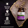 Joy! bottle with capsules, elevates mood stress relief nervous system graphic
