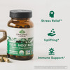 Tulsi Holy Basil bottle, stress relief uplifting immune support benefit icons