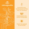 Ashwagandha root sourcing graphic: thickest part of the root, hand-harvested and sun-dried