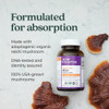 New Chapter Reishi - 60 Capsules
