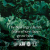 Kale leaves, the best ingredients from where they grow best, third party validated logos