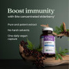 Elderberry Force bottle with berries, 64x concentrated one daily vegan capsule graphic