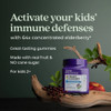 Kids Elderberry gummies with fruit, 64x concentrated no cane sugar for kids 2+ graphic