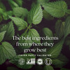 Green leaves, the best ingredients from where they grow best, third party validated logos