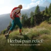 Woman hiking a mountain trail with trekking poles