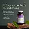 Lemon Balm Force bottle, full-spectrum herb concentrated from 1465 mg lemon balm graphic