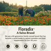 Floradix Iron + Herbs Liquid Iron and Vitamin