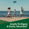 Family flying a kite on the beach, Floradix gentle to digest easily absorbed graphic