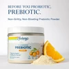 Solaray Microbiome Prebiotic, Citrus - 160 Grams