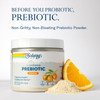 Mycrobiome Prebiotic tub with powder and orange, before you probiotic prebiotic graphic