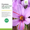 Saffron flower close-up, premium curcuminoids turmeric essential oil clinically studied graphic