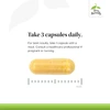 Healthy Knees yellow capsule size guide, take 3 capsules daily graphic
