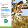 Boswellia flowers, BCM-95 curcumin BOS-10 boswellia clinically studied ingredients graphic
