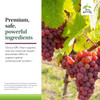 Red grapes on vine, Clinical OPC low molecular weight absorbable OPCs heart graphic