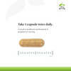 Stomach & Intestinal Relief capsule size guide, take 1 capsule twice daily graphic