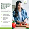 Terry Naturally Stomach & Intestinal Relief - 60 Capsules