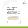 Take 1 capsule twice daily graphic with capsule beside a ruler