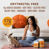 Woman with smoothie and dog, Classic Plus Chocolate erythritol free organic vegan free-from icons