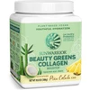 Sunwarrior Beauty Greens Collagen Booster Pina Colada plant-based 300 g tub