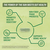 Power of the sun meets gut health digestion prebiotic greens bowel support graphic