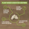 Plant-based digestive enzymes graphic: protein, carb, fat and free radical enzymes