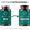 Qualia Mitochondria+ - 120 Capsules