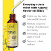 Bach Rescue Remedy - 20 Milliliters