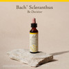 Bach Scleranthus bottle on stone Be Decisive lifestyle product shot